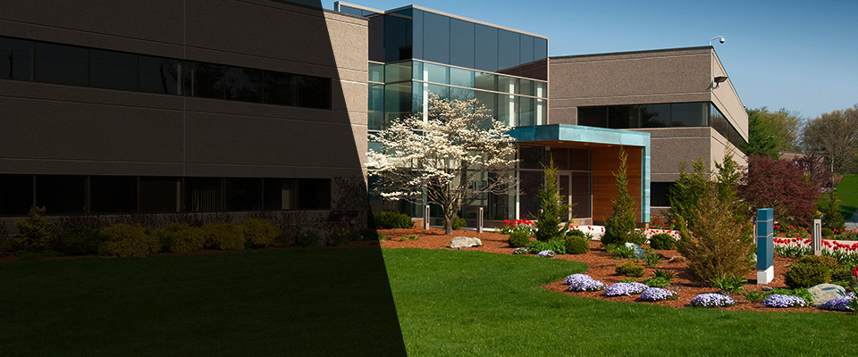 Cape May Landscapers