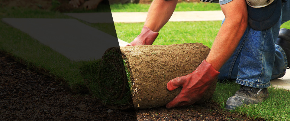 Cape May Landscapers